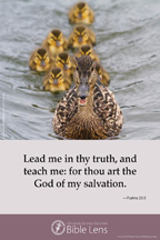 Bible Lens: Lead me in thy truth (csps bl14)