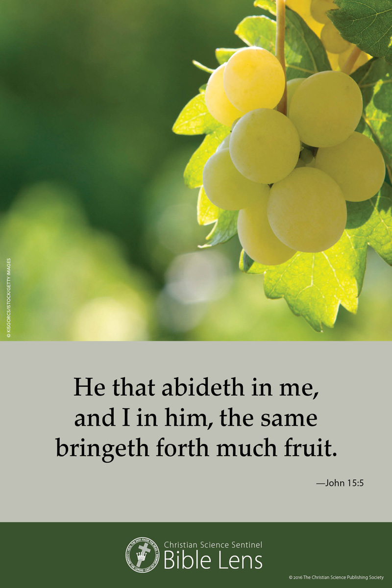 Bible Lens: He that abideth in me (csps bl22)