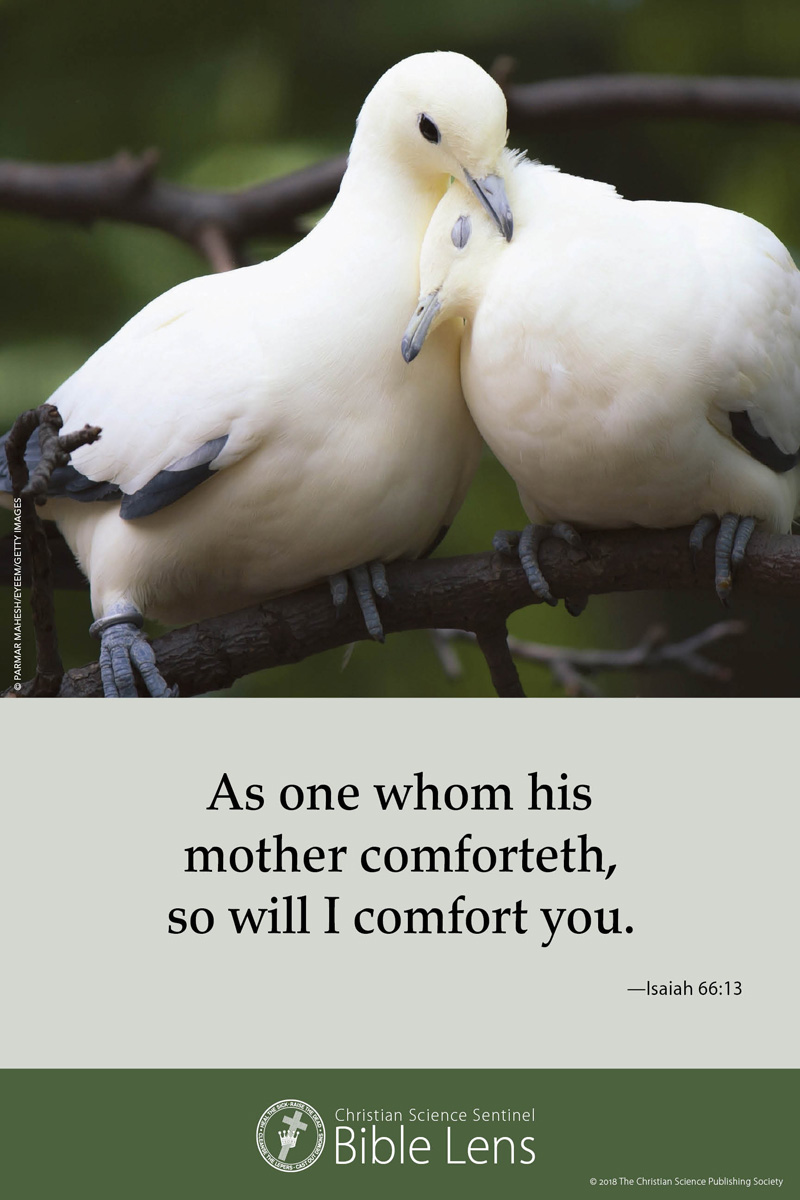 Bible Lens: As one whom his mother comforteth (csps bl6)