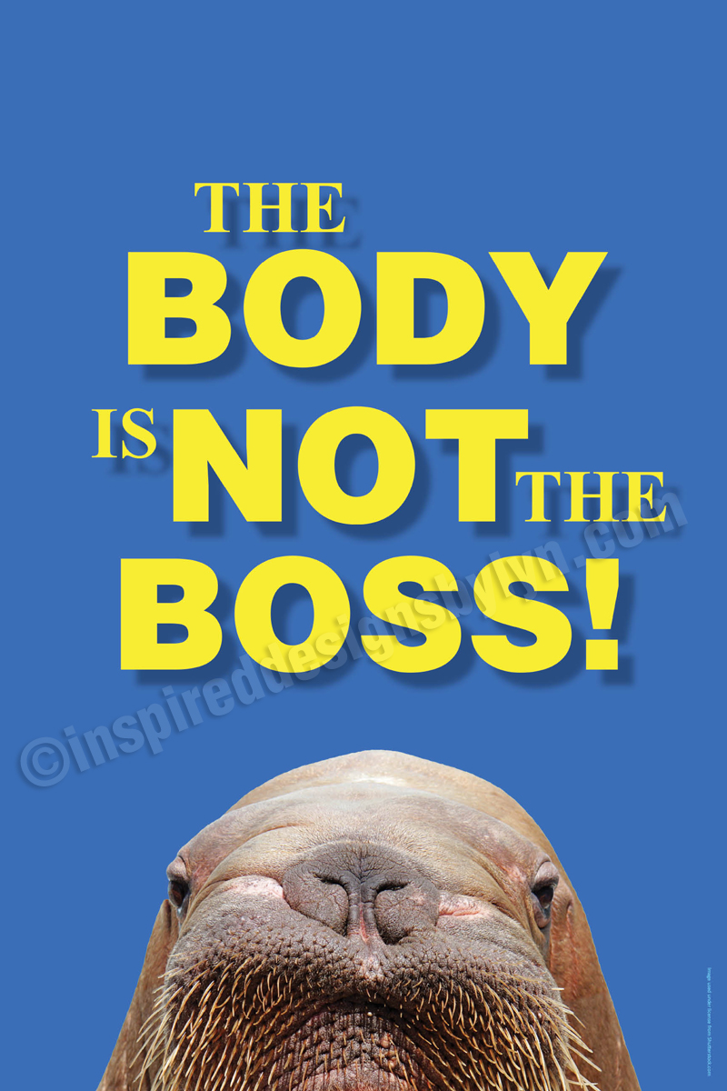 The body is not the boss (V8)