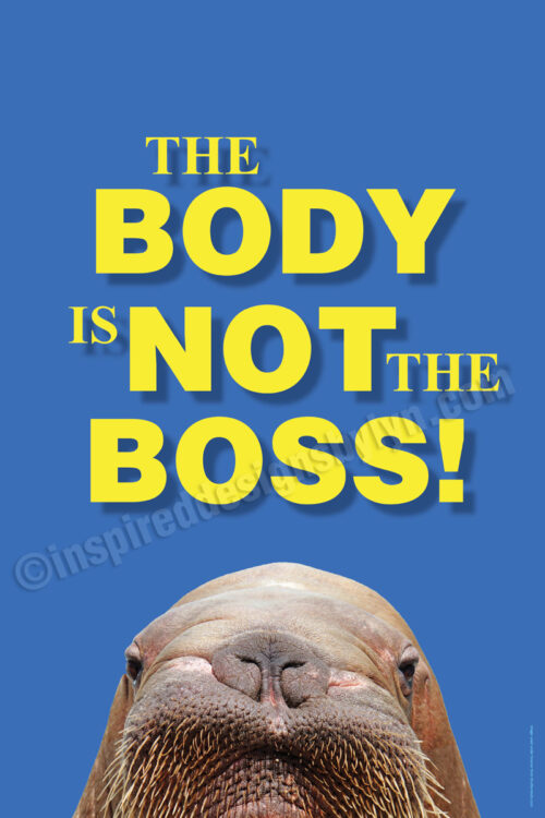Body not the boss (v8)
