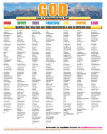 Synonyms (csps y4)