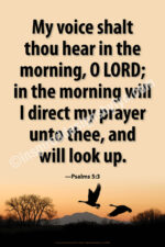 My voice shalt thou (v47)