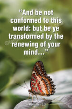 Transformation (v43)