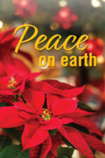 Peace on earth (poinsettis) (v55)