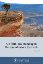 Go forth and stand (csps bl11)