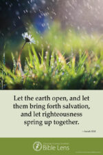 Let the earth open (csps bl15)