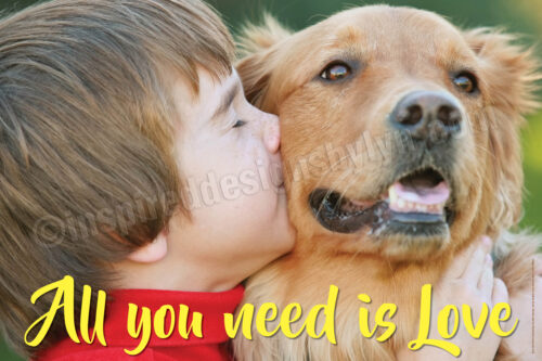 All you need is love (h2)
