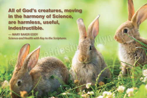 All of God's creatures (h11)