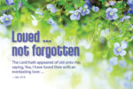 Loved not forgotten (h12)