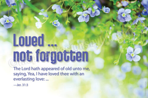 Loved not forgotten (h12)