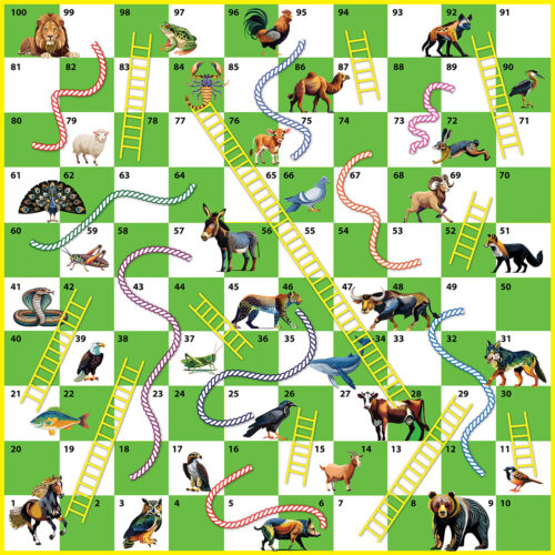 Ropes & Ladders boardgame (cg1)