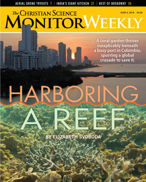 Harboring a reef (csps m6)