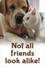 Not all friends (v52)