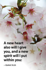 A new heart (v76)