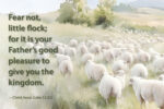 Fear not little flock (h46)