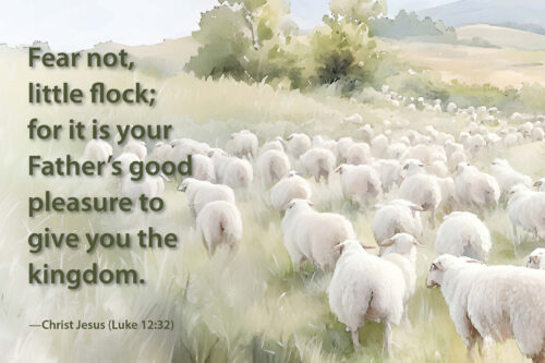 Fear not little flock (h46)